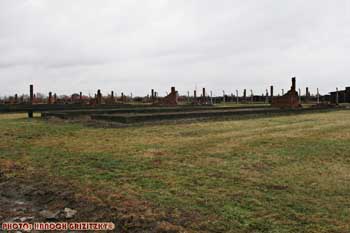 IMG_ (11516)